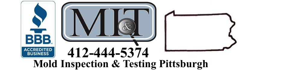 mold inspection Pittsburgh'