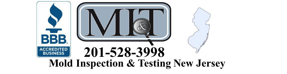 mold inspection in new Jersey'