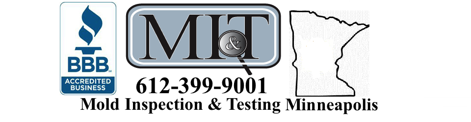 mold inspection in minneapolis