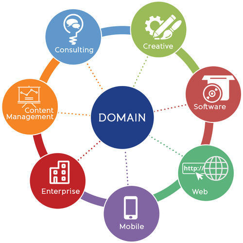 Domain SEO Service Logo