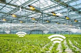 IoT Based Smart Greenhouse Market May Set New Growth Story |'