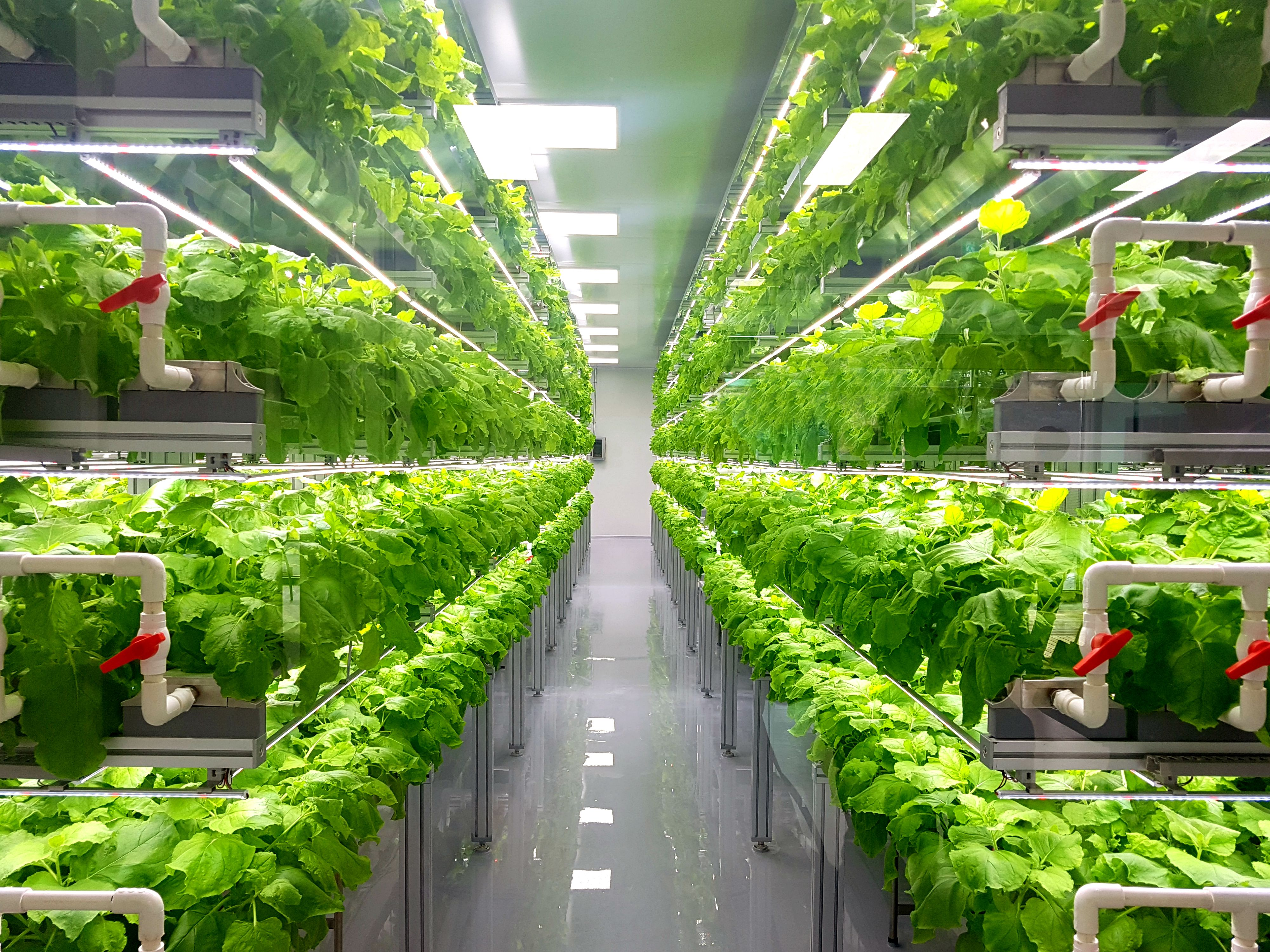 Indoor Farming Market'