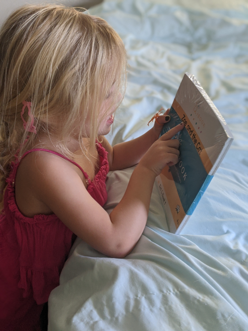 MyLibook Makes Little Bitty Readers the Star of the Show'