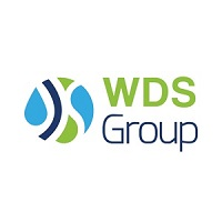 WDS Group Logo