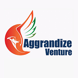 Company Logo For Aggrandize Venture'