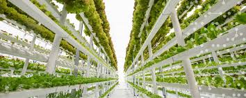 Quantitative analysis of the Indoor Farming market from 2020'