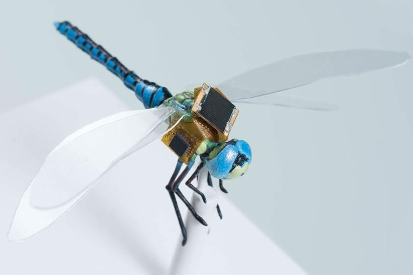 Nano Drones'