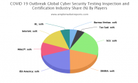 Cyber Security Testing Inspection and Certification Market