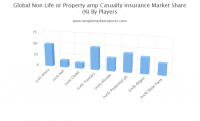 Non-Life or Property & Casualty Insurance market