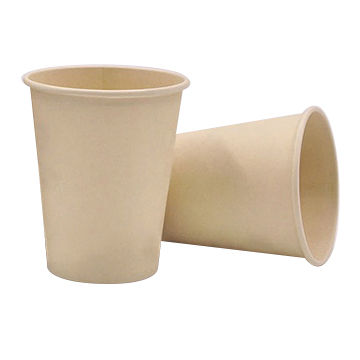 Biodegradable Cup'