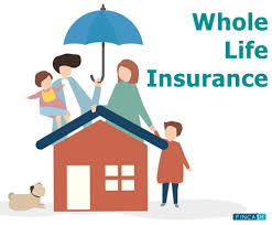 Whole Life Insurance Market'
