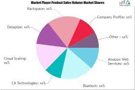 Cloud Infrastructure-as-a-Service (IaaS) Market Next Big Thi