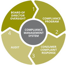 Compliance Management Systems'