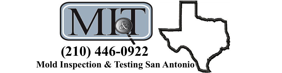 san antonio mold testing
