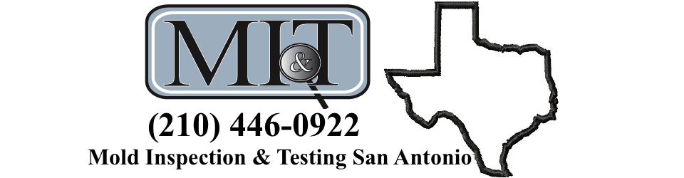 san antonio mold testing'