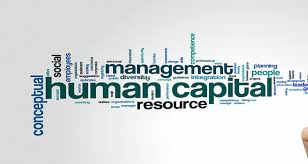 Human Capital Management Market in India 2020 | ADP India, B'