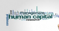Human Capital Management Market in India 2020 | ADP India, B