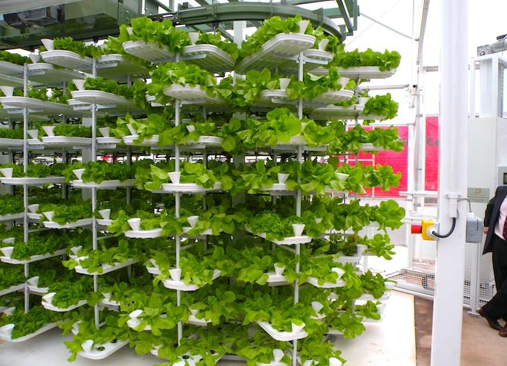 HVAC in Vertical Farming Market May Set New Growth Story