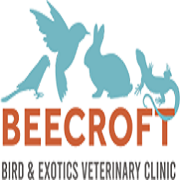 Company Logo For Birdvet Singapore'