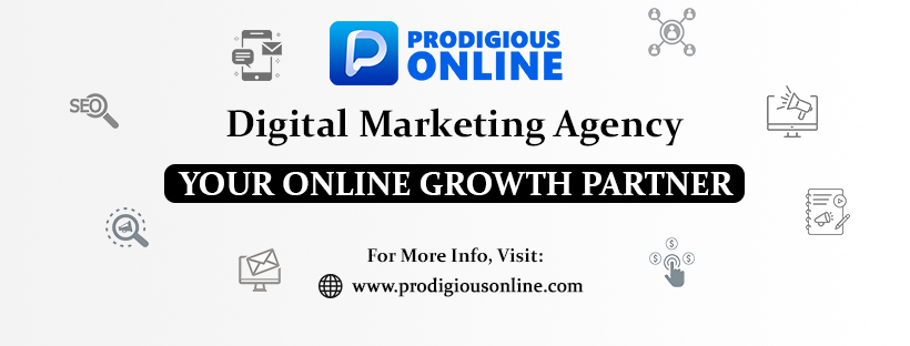 Prodigious Online - Digital Marketing Agency in Mohali'