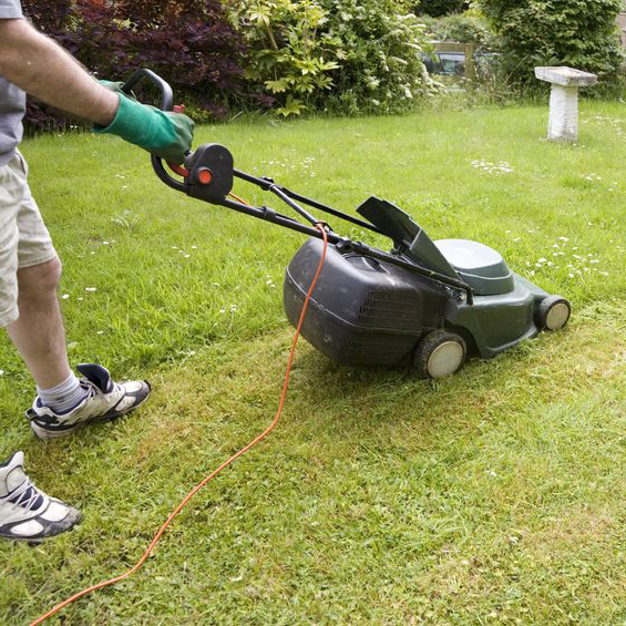 Lawn Mower Repair'