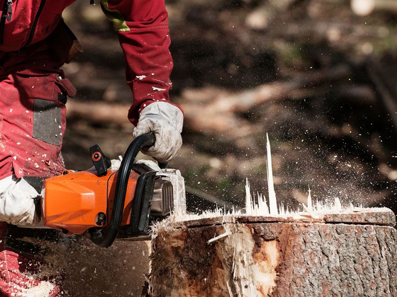 Stump Removal In Phoenix AZ Logo