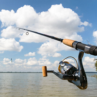 Company Logo For Reel Sport Fishing Charters'