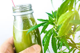 CBD Beverages Market'