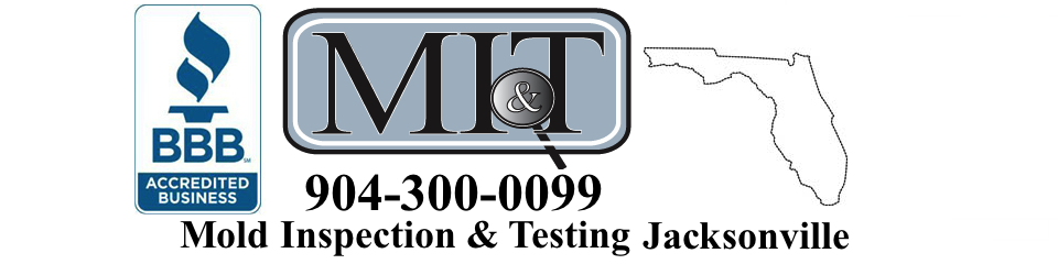 Jacksonville mold testing'
