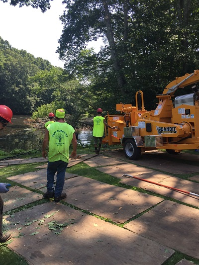 East Greenwich Tree Service Inc Logo