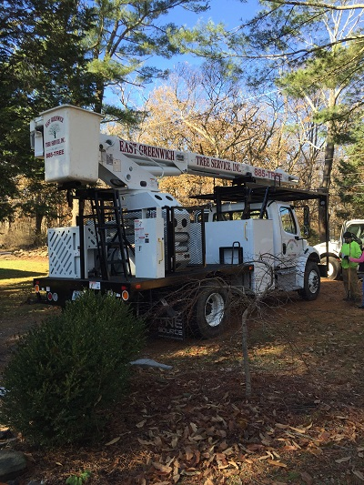 Stump Grinding'