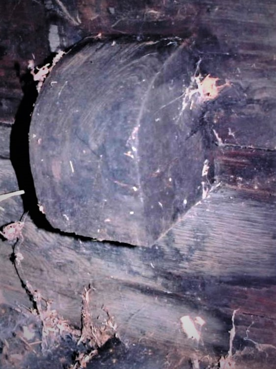 Joel Klenck: Cross beam near floor, Locus 7, Area A, Ark.