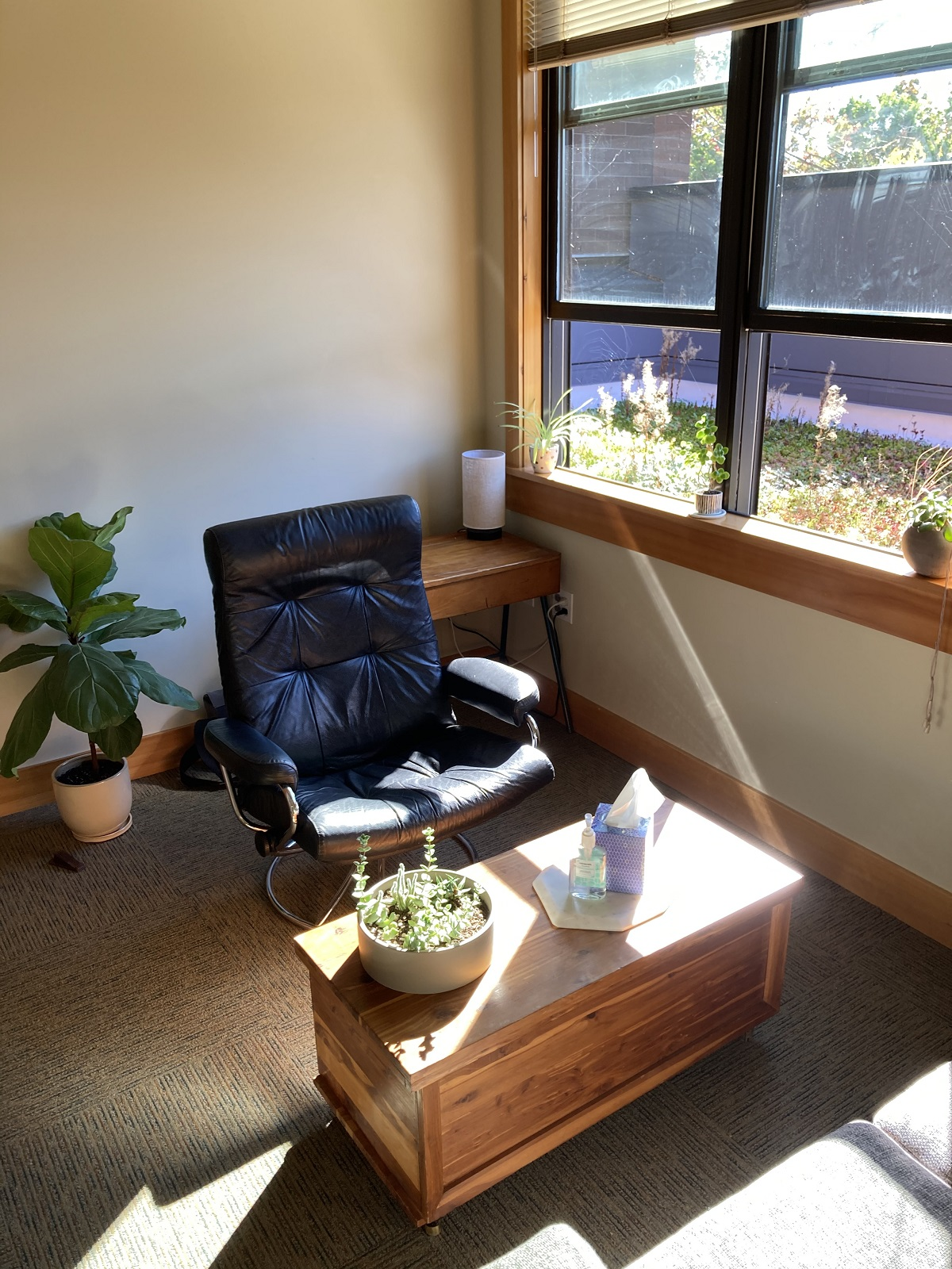 Addiction/Substance Use'