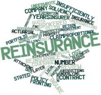 Insurance and ReInsurance Market to See Huge Growth by 2026