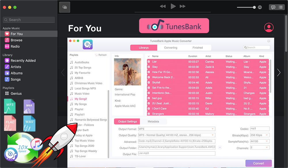 Apple Music Converter'