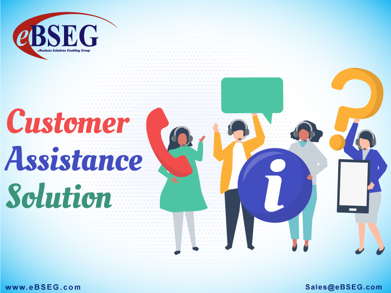 eBSEG Customer Assistance Solution'