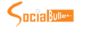 Company Logo For socialbullets'