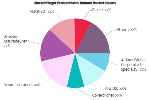 Drone(UAV) Insurance Market to See Huge Growth by 2026 | AIG