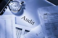 Auditing Services Providers Market