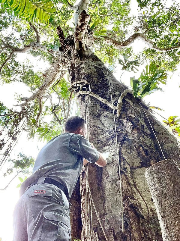 Company Logo For Pest Ex'