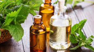 Herbal Oil &amp;ndash; Growing Popularity and Emerging Trend'