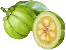 Company Logo For Garcinia Cambogia Premium'