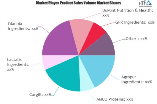 Protein Powder Ingredients Market'