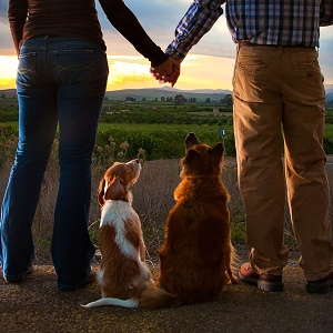 High School Pictures'