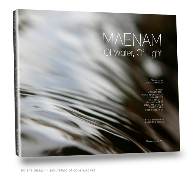 Company Logo For Maenam'