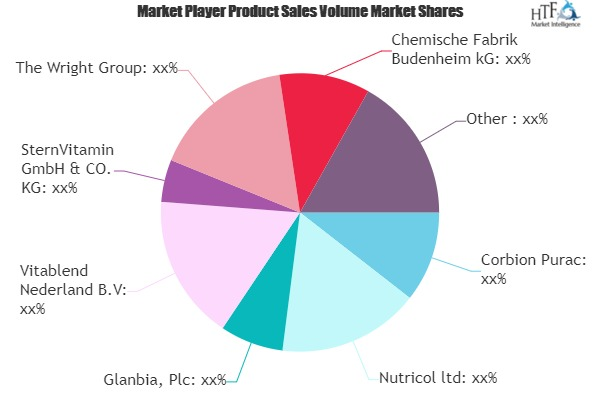 Nutritional Premixes Market'