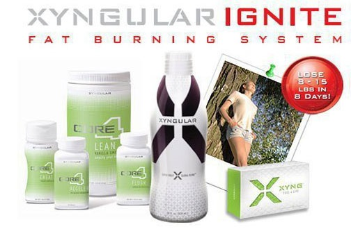 Xyngular Online