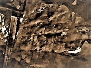 Joel Klenck: Remains of cages, Locus 3, Area B, Noah's Ark'