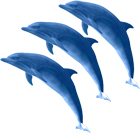 Logo for Rocky Point Beach House Rentals'