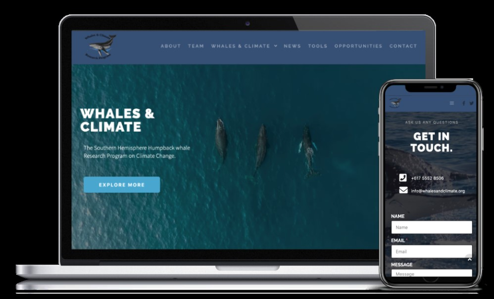 Web Design'